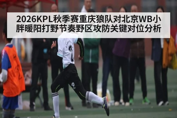 2026KPL秋季赛重庆狼队对北京WB小胖暖阳打野节奏野区攻防关键对位分析