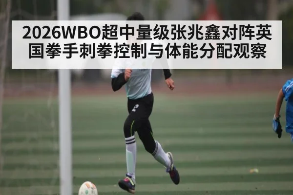 2026WBO超中量级张兆鑫对阵英国拳手刺拳控制与体能分配观察